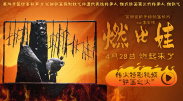 麻豆av一区二区三区