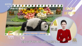97久久久亚洲综合久久88